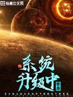 伪寡妇的古代生活